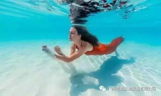 戴高樂